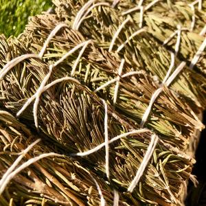 White Sage with Rosemary Smudge Sticks (4")
